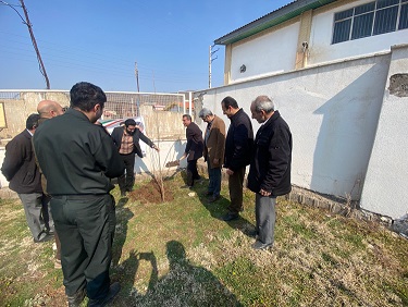 درختکاری در محوطه کتابخانه