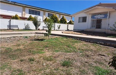 محوطه کتابخانه